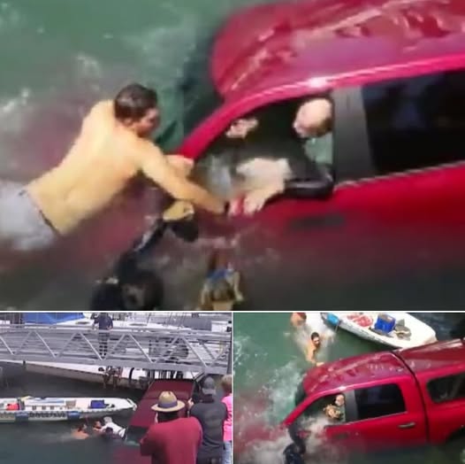 Good Samaritans Restored Faith In Humanity By Rescuing