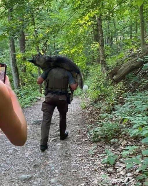 The Man Who Carried Courage Down The Mountain