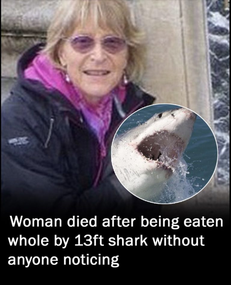 Tragedy at Sea: Woman Swallowed Whole by 13ft Shark