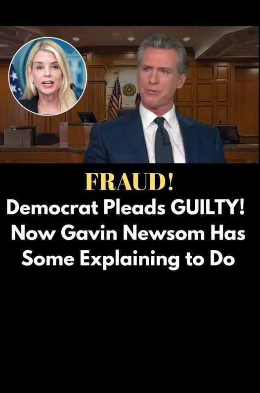 Top Democrat Donor Pleads Guilty to Fraud,