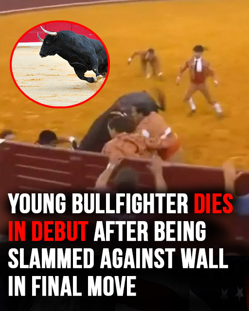 Young bullfighter dies in debut after being slammed