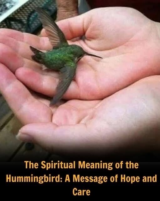 Did You Know That If a Hummingbird Comes to Your Home