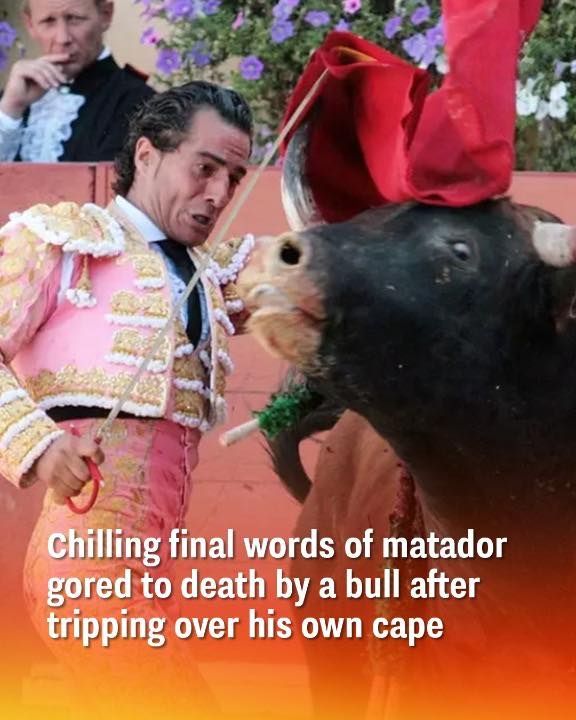 Haunting last words of a matador fatally gored