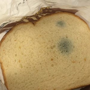 Stale Bread: When It’s Safe to Eat and When to