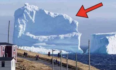 Gigantic Iceberg Floats Near The Local Village.