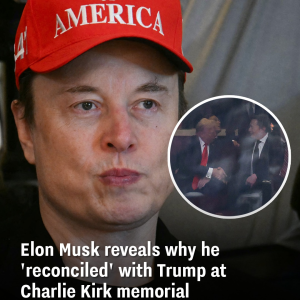 Elon Musk Explains His Conversation with Trump