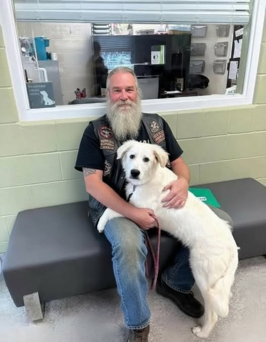 Biker Found This Dog Chained To A Br