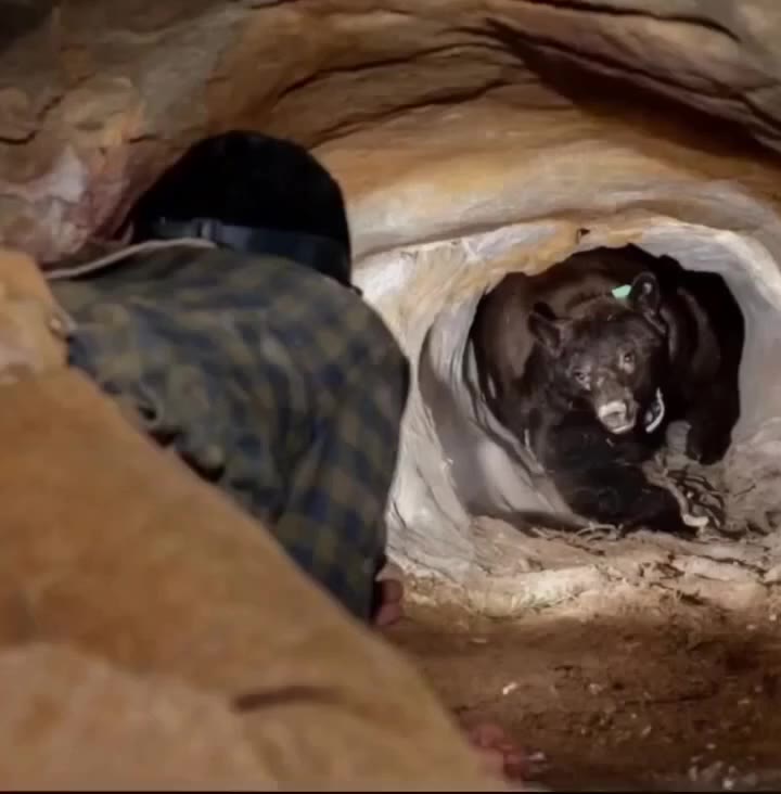 The Unbearable Truth: A Heart-Stopping Confrontation