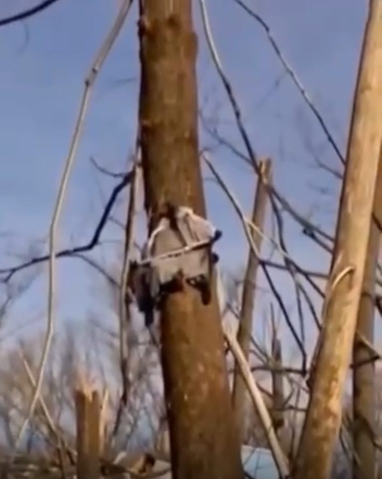 If This Is Not A Miracle, I Don’t Know