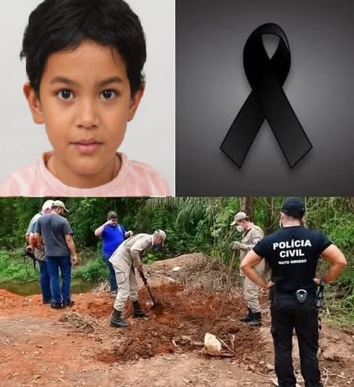 Missing boy found in the woods,