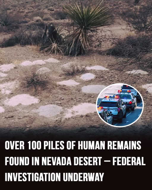 Over 100 human remains found in Nevada desert