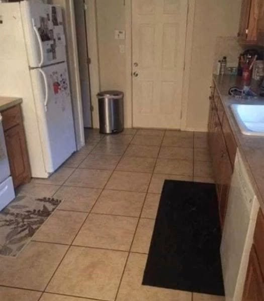 Look closely: There’s a dog hidden in this