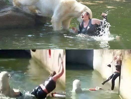 HORROR AT BERLIN ZOO: 32-Year-Old Woman