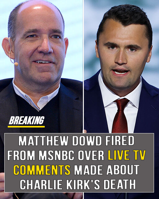 TV Analyst Fired After Controversial