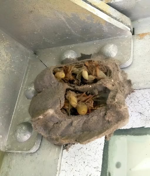 I went into the garage just to grab an old