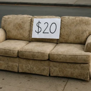 When a $20 Couch Unlocked a Fortune