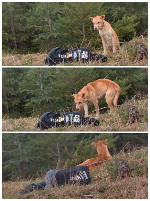 She Acts Like She Is Dead On The