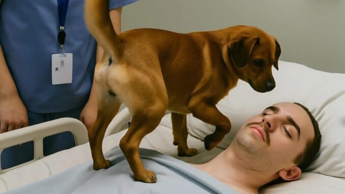 The doctors decided to turn off the life