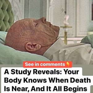 The Hidden Power of Scent: How Smel