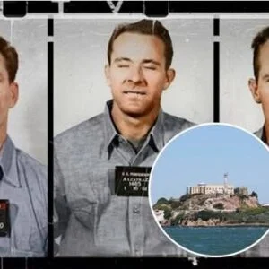 The Hidden Story of the Alcatraz Es