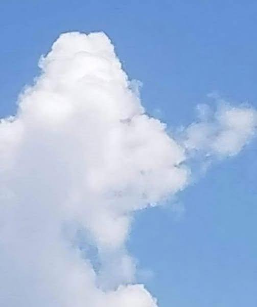 In the cafeteria, a group of wealthy boys bu