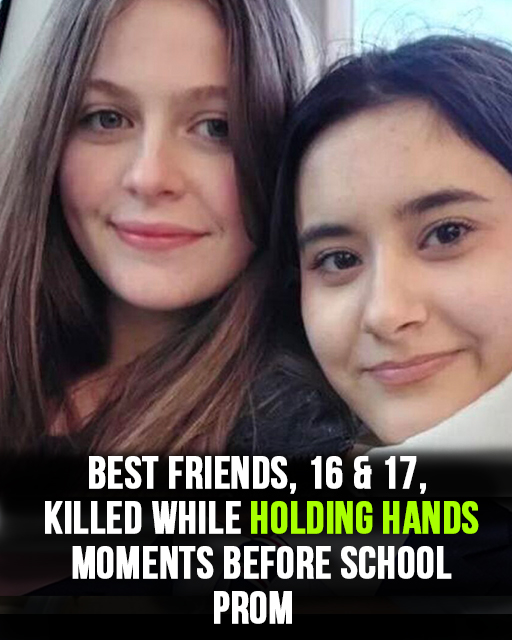 Best friends die holding hands after