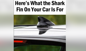 Why Modern Cars Have a Shark Fin on the Roof