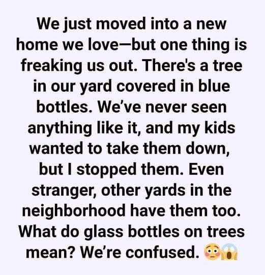 What We Discovered About the Glass Bottle Trees