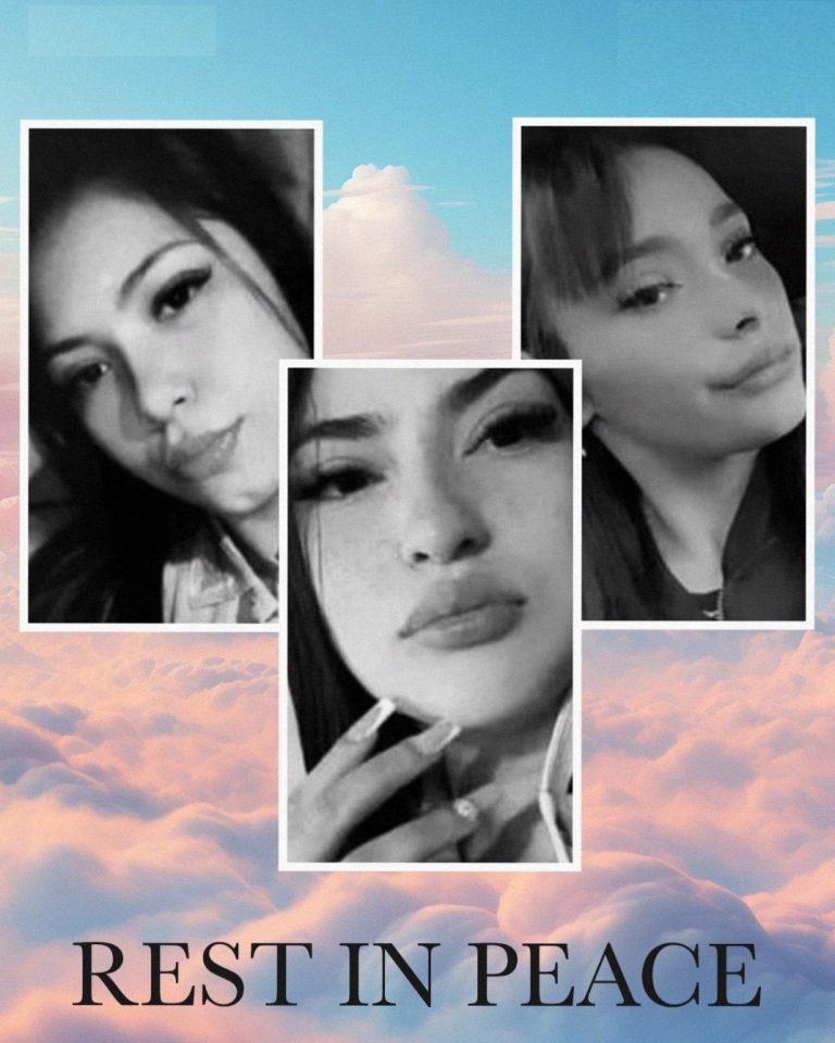 After Their Disappearance, Three Young Women