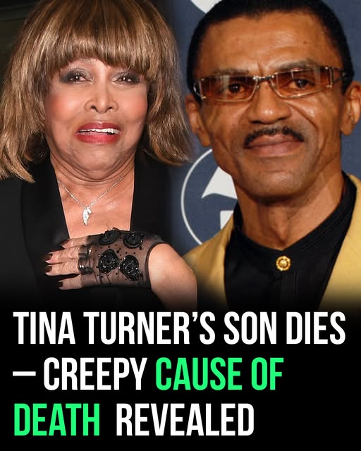 Tina Turner’s son tragically passes away