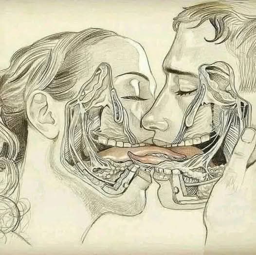 What It Means If Your Partner Kisses