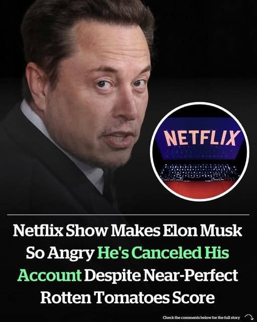 TV show makes Elon Musk so
