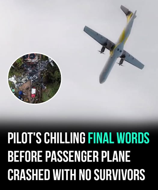Pilot’s chilling final words before deadly