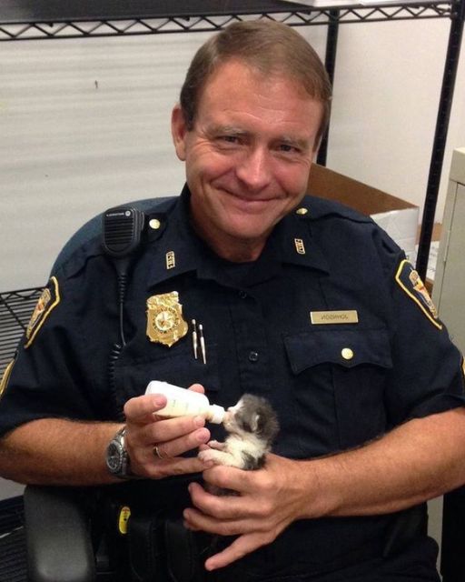 A Police Officer Found a Tiny Kitten