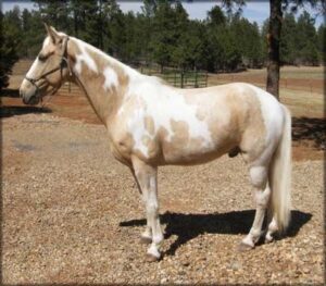 (Video) Man Breaks into Dance, But the