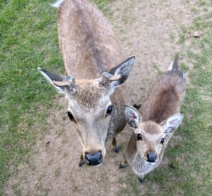 The Hidden Life Beneath the Surface
