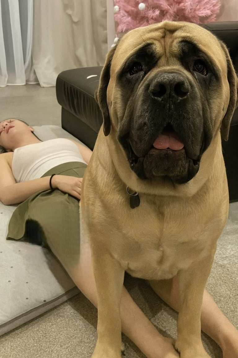 J0ven was hospitalized af