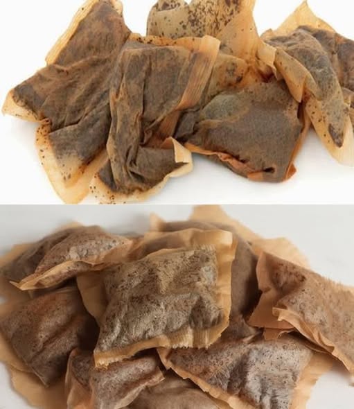 Teabags: 7 household remedies that show why you should never throw away