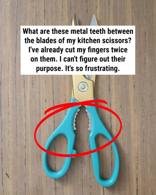 The Hidden Multi-Tool Built Into Your Kitchen Scissors