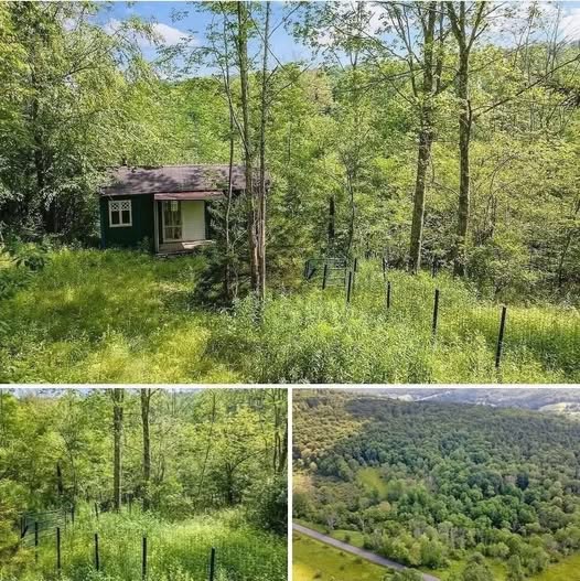 A Quiet 1.5-Acre Hideaway Perfect for