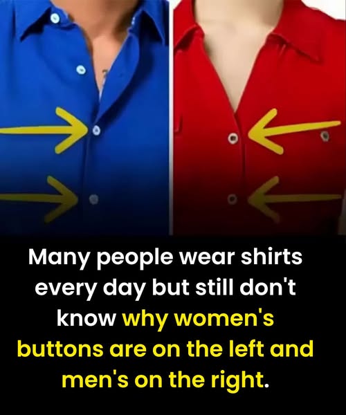 The Real Reason Women’s Shirts Button Differently from Men’s