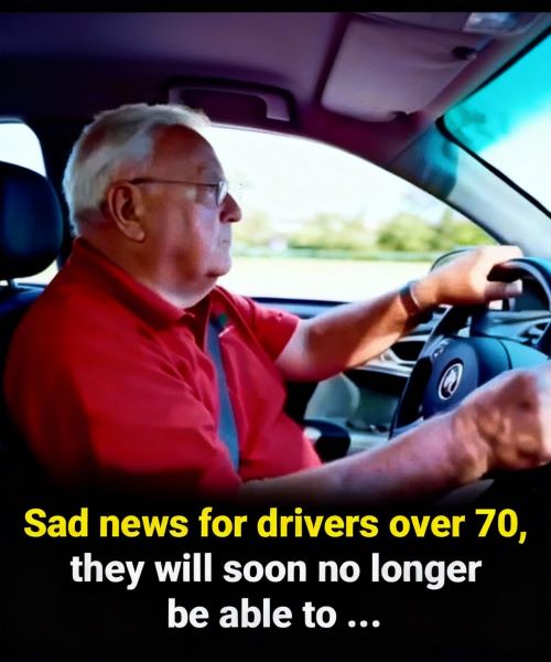 Supporting Safe and Confident Driving as We Grow Older