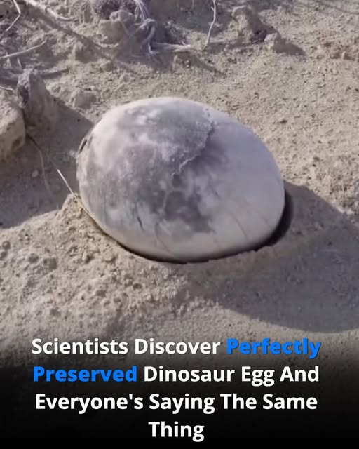 Scientists Discover a Perfectly Preserved Dinosaur