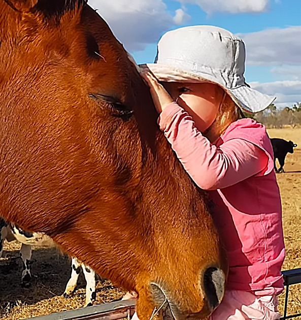 Toddler’s Sweet Serenade Has Her Horses