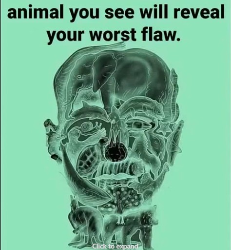 The Viral Optical Illusion That Claims to Reveal a Fun