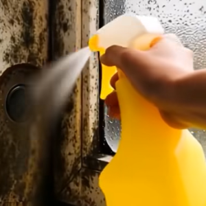 Erase Home Mold Safely with Hydrogen Peroxide