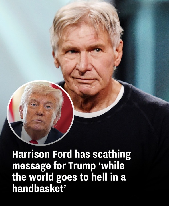 Harrison Ford has scathing message