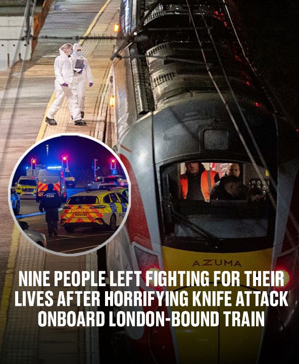 Nine people left fighting for their lives after
