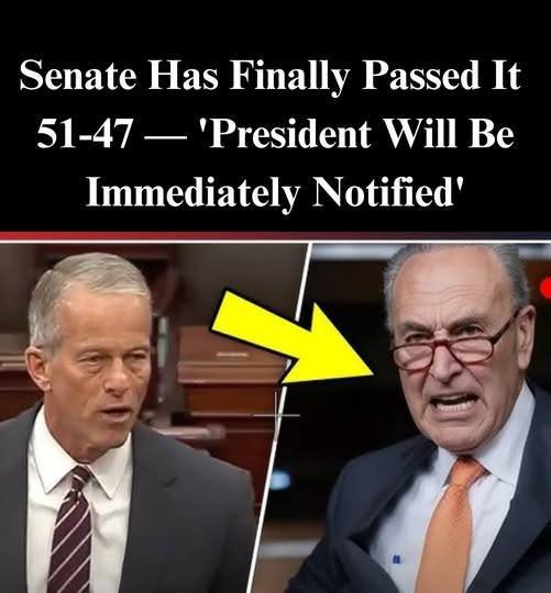 Unique Senate Nod: LaCour Becomes Alabama