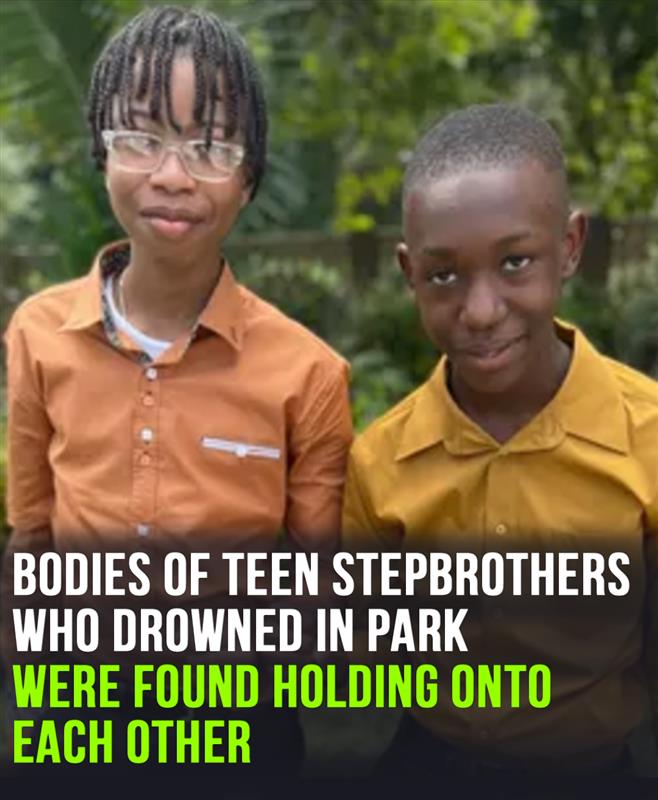 Teen stepbrothers who drowned at park